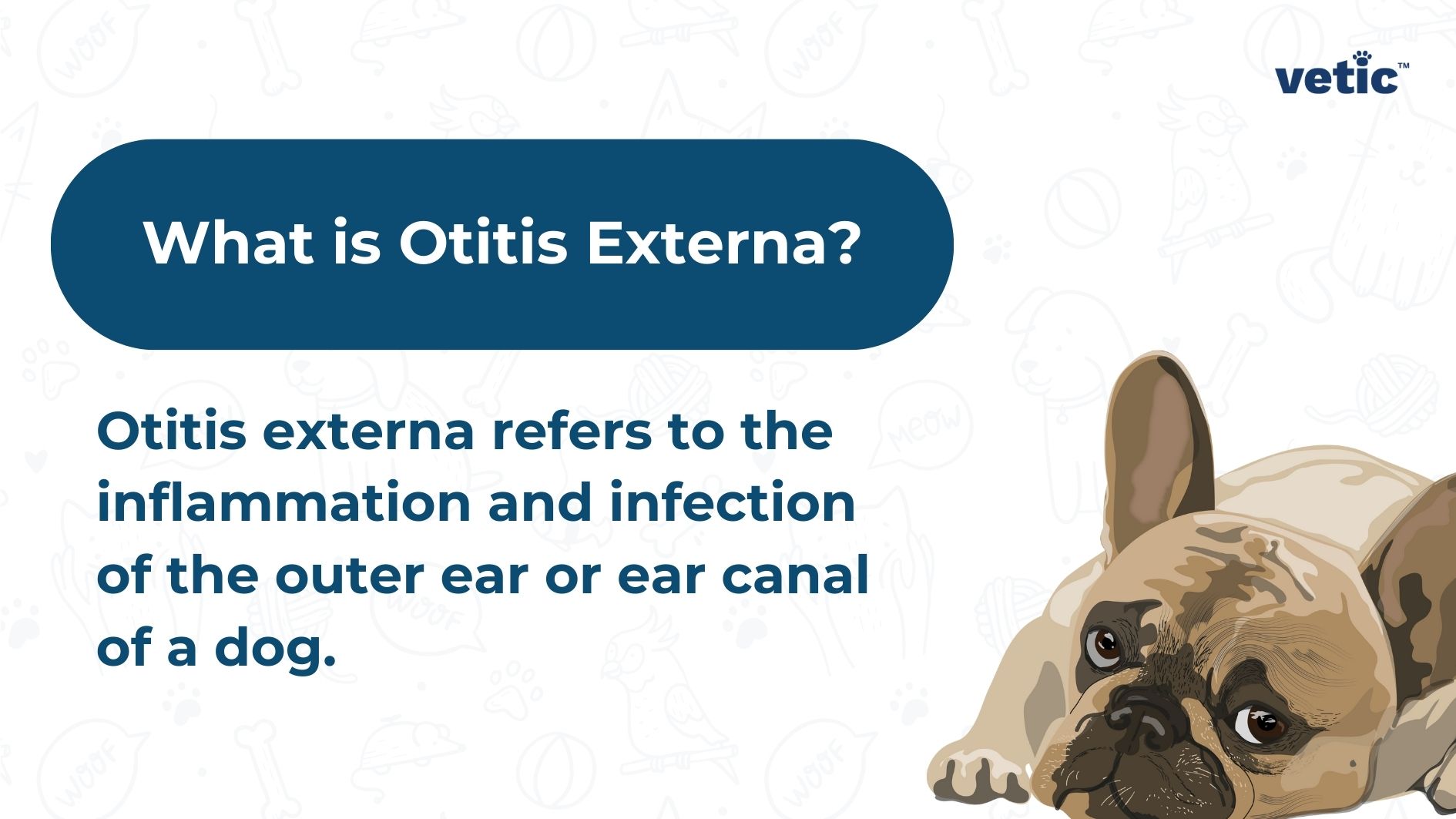 What is Otitis Externa? Otitis externa refers to the inflammation and infection of the outer ear or ear canal of a dog.
