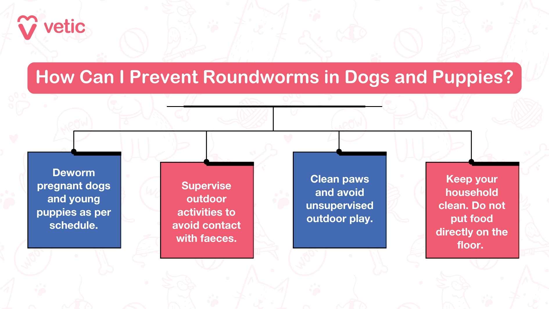 The image is an infographic from "Vetic" that provides tips on how to prevent roundworms in dogs and puppies. It includes a title and four main points organized in a flowchart format. The title reads, "How Can I Prevent Roundworms in Dogs and Puppies?" The four main points are: Deworm pregnant dogs and young puppies as per schedule. Supervise outdoor activities to avoid contact with faeces. Clean paws and avoid unsupervised outdoor play. Keep your household clean. Do not put food directly on the floor.