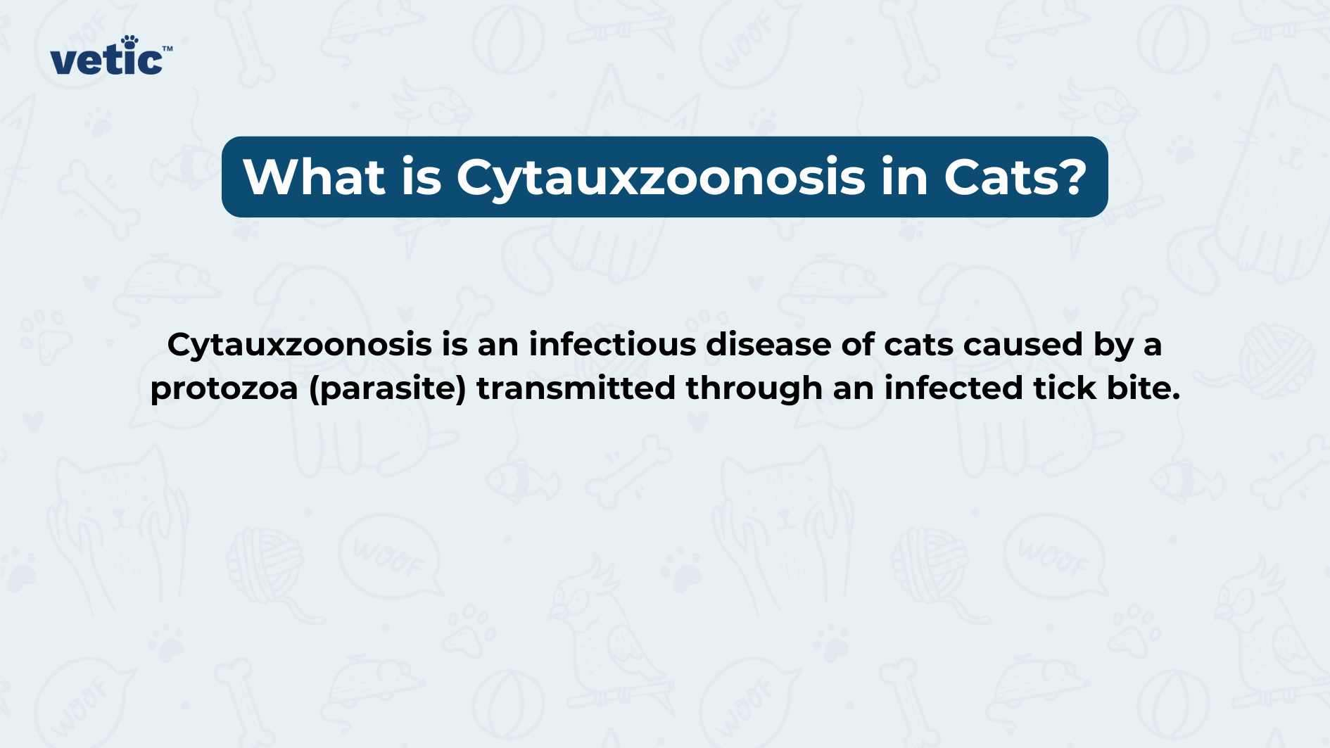 What is cytauxzoonosis in cats? it is an infectious disease caused by a protozoa like mycoplasma. however, this disease is transmitted through the bite of an infected tick.