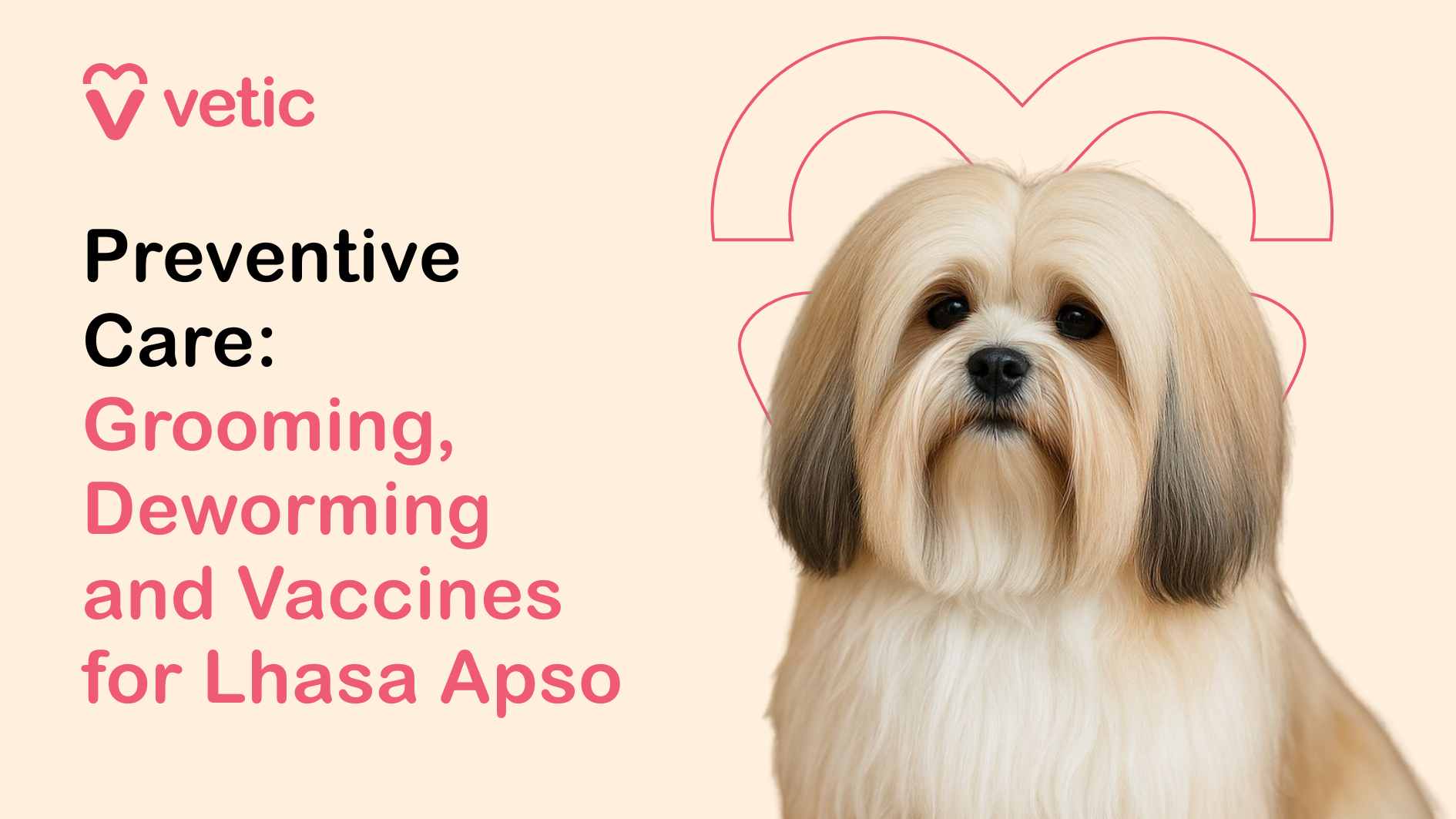 "Preventive Care: Grooming, Deworming and Vaccines for Lhasa Apso" The background is a soft beige, creating a clean and inviting aesthetic. On the right, a beautifully groomed Lhasa Apso with long, silky fur gazes directly at the viewer, framed by a stylized pink heart. The dog’s pristine coat and composed posture visually reinforce the importance of regular grooming and health maintenance.