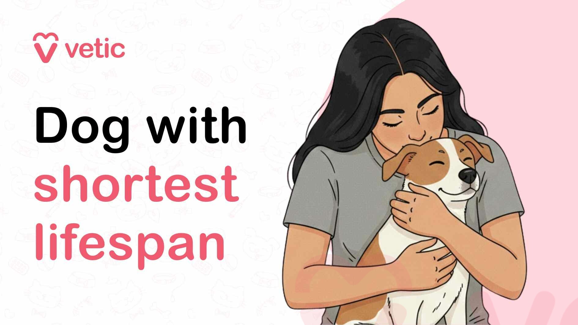 The graphic introduces the topic “Dog with shortest lifespan,” using a soft, emotional visual to draw attention. The text highlights the phrase “shortest lifespan” in pink, making the theme immediately clear. Beside it, an illustration shows a woman gently hugging her dog with closed eyes, conveying affection, care, and emotional closeness. The calm color palette and tender body language create a reflective mood, encouraging pet owners to think about lifespan, health, and the importance of attentive care for dogs.