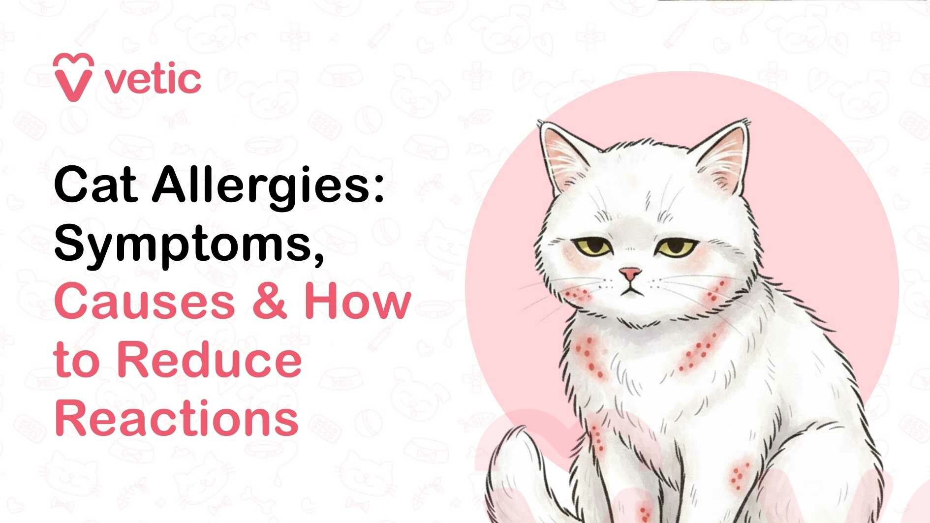 A veterinary educational banner from the Vetic brand featuring the pink heart-shaped “V” logo and the word “vetic” placed in the top-left corner. On the left side of the image, the headline reads “Cat Allergies: Symptoms, Causes & How to Reduce Reactions.” The words “Cat Allergies: Symptoms” appear in bold black text, while “Causes & How to Reduce Reactions” are highlighted in soft pink to emphasize the main focus of the guide. On the right side of the banner, there is an illustration of a white cat sitting upright with a slightly tired and irritated expression. The cat has pale yellow eyes, a soft fluffy coat, and faint pink shading around the ears and face. Several small red spots and patches are visible on the cat’s cheeks, neck, chest, and legs, representing skin irritation, rashes, or allergic reactions commonly seen in cats suffering from allergies. The cat’s posture and facial expression suggest discomfort and itchiness associated with allergic conditions. Behind the cat is a soft pink circular background that highlights the illustration and draws attention to the affected areas. The rest of the background is light and minimalistic, decorated with faint pet-themed line icons such as paw prints, bones, pet bowls, grooming tools, and veterinary symbols. The overall design is clean and modern, styled as a veterinary blog banner introducing an educational guide that explains common symptoms of allergies in cats, potential causes such as food or environmental triggers, and practical tips to help pet parents reduce allergic reactions and keep their cats comfortable and healthy.
