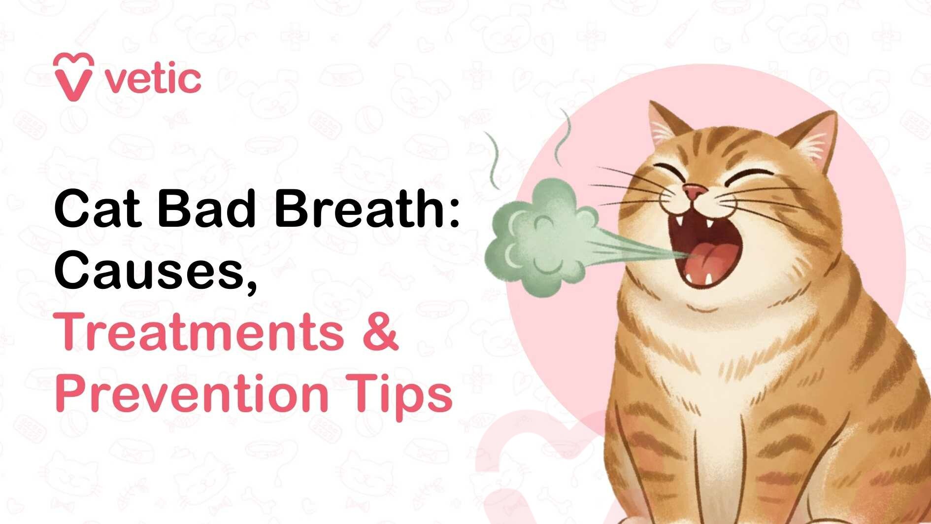 The banner presents the headline “Cat Bad Breath: Causes, Treatments & Prevention Tips.” The phrase “Treatments & Prevention Tips” is highlighted in pink, drawing attention to the actionable part of the topic and signaling that the article focuses not only on identifying the problem but also on solving it. The layout follows a clean, veterinary blog style with the Vetic logo placed in the top-left corner, reinforcing the branding and credibility of the source. On the right side of the banner, an illustrated orange tabby cat is shown sitting upright with its mouth wide open as if yawning or exhaling. A green cloud of breath flows out from the cat’s mouth, visually representing unpleasant odor in a playful but clear way. The exaggerated breath cloud acts as a simple visual metaphor for bad breath, making the health issue instantly recognizable even without reading the full headline. The cat’s expression appears relaxed and slightly cheerful, which softens the medical theme and keeps the image approachable rather than alarming. Behind the cat, a soft pink circular background helps frame the illustration and draw the viewer’s attention to the main visual element. The rest of the background is light and minimal, decorated with faint pet-themed line icons such as bones, bowls, and paw prints, which reinforce the overall veterinary and pet-care context. The composition balances informative text with a clear visual cue, helping pet owners quickly understand that the content addresses feline bad breath, its possible causes, and practical steps for treatment and prevention. The combination of educational wording and friendly illustration encourages readers to think about their cat’s oral health while inviting them to explore the article for guidance.