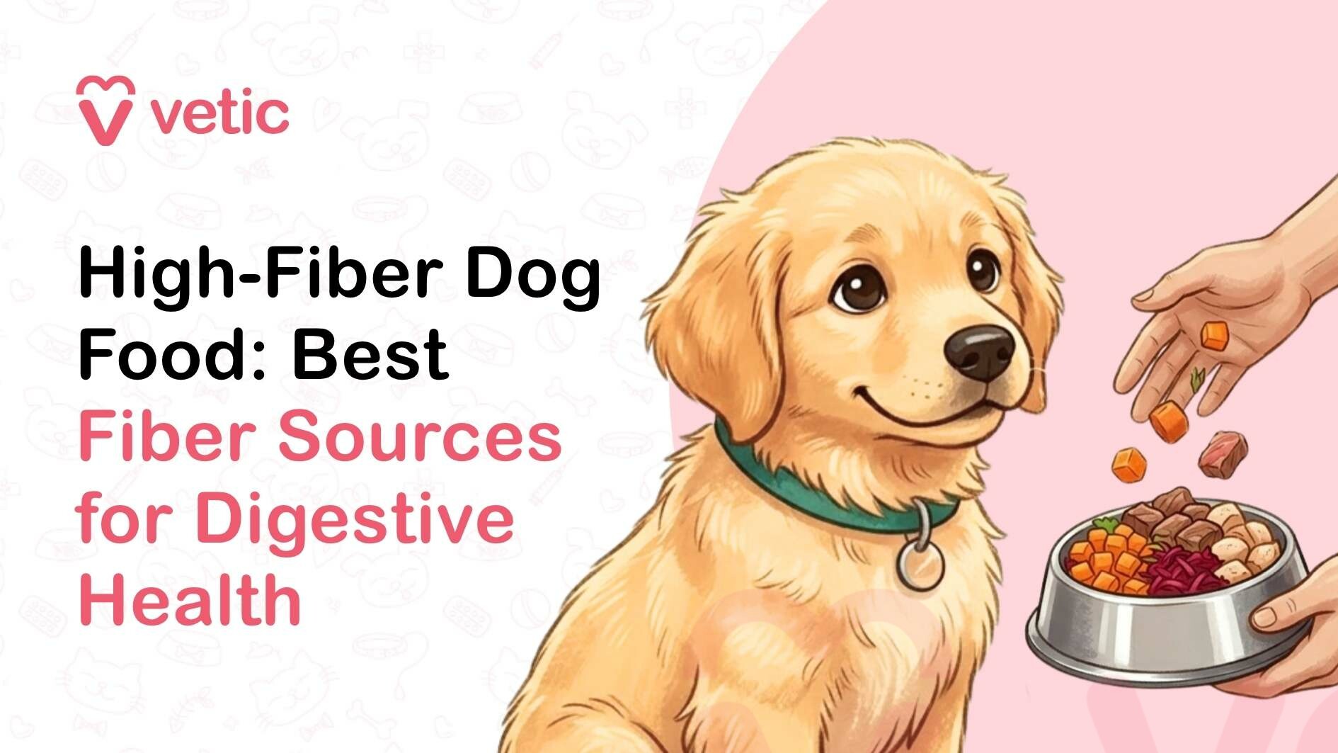 Illustration-style promotional graphic for a pet care brand featuring a soft pastel background with a light pink and cream color palette. On the left side, the brand name “Vetic” appears at the top in a rounded, modern font alongside a heart-shaped logo resembling a stylized “V.” Below it, large bold text reads “High-Fiber Dog Food: Best Fiber Sources for Digestive Health,” with “Fiber Sources” highlighted in pink while the rest of the text is in black, creating visual emphasis. On the right side of the image, there is a cute, cartoon-like golden retriever puppy with warm golden fur, big expressive brown eyes, a small black nose, and a gentle smile. The puppy is sitting upright and wearing a teal-green collar with a circular tag, looking attentively toward a food bowl being held in front of it. A human hand is shown sprinkling small chunks of food—such as orange cubes resembling carrots and brown pieces resembling meat—into a metallic dog bowl filled with a colorful mix of ingredients, including vegetables and protein. The background behind the puppy transitions into a soft pink circular shape, helping highlight the dog and feeding interaction. The overall tone is friendly, clean, and informative, suggesting pet wellness, nutrition, and digestive health through high-fiber dog food.