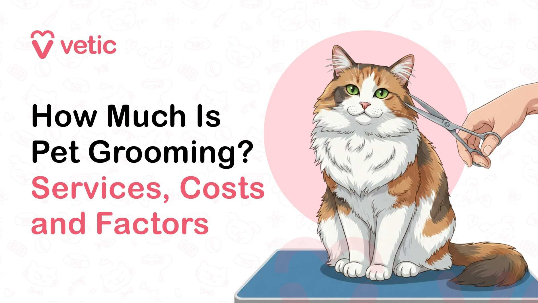A veterinary-themed informational banner from the Vetic brand featuring the pink heart-shaped “V” logo and the word “vetic” displayed in the top left corner. On the left side of the image, large bold headline text reads “How Much Is Pet Grooming?” in black, followed by a subheading in soft pink that says “Services, Costs and Factors,” indicating that the article explains the pricing and components involved in professional pet grooming. On the right side of the banner, there is a detailed illustration of a fluffy, long-haired cat sitting upright on a blue grooming table. The cat has a thick coat with white, orange, and brown patches, bright green eyes, a pink nose, and long whiskers, giving it a calm and well-groomed appearance. A human hand holding a pair of grooming scissors is positioned near the cat’s ear, suggesting that the cat is in the process of being groomed or trimmed by a professional groomer. Behind the cat is a soft pink circular background that highlights the illustration and draws attention to the grooming activity. The rest of the background is light and minimalistic with faint, subtle pet-themed line icons such as paw prints, bones, grooming tools, pet bowls, and veterinary symbols, reinforcing the veterinary and pet care theme. The overall design is clean and professional, styled as an educational banner introducing an article about pet grooming services, their typical costs, and the various factors that influence grooming prices for dogs and cats.