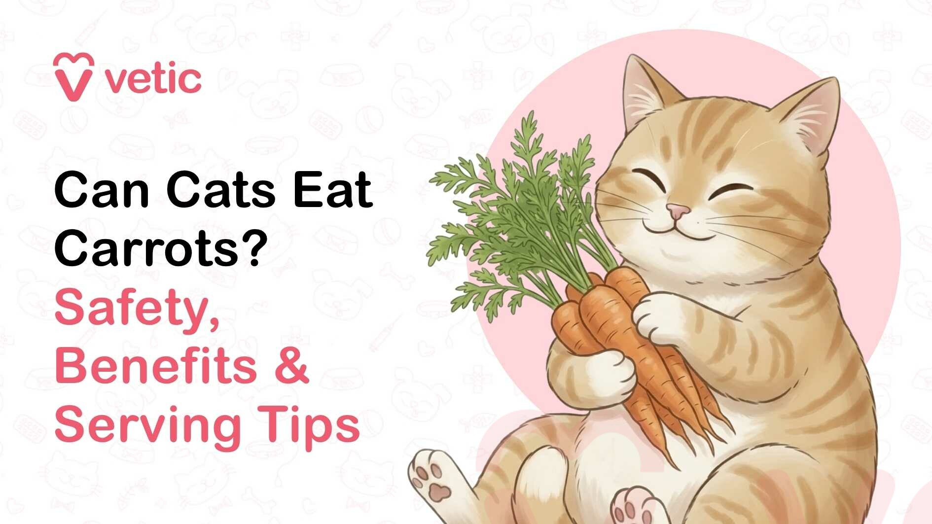 A visually soft and friendly educational graphic about cats and food, designed with a clean, modern aesthetic. The background is a light off-white color decorated with faint, low-contrast line illustrations of pet-related icons such as bones, paw prints, fish, and toys, giving the design a subtle textured feel without distracting from the main content. In the top left corner, there is a brand logo reading “Vetic,” accompanied by a stylized pink heart-shaped icon that resembles a pet outline. Below the logo, large bold black text reads: “Can Cats Eat Carrots?” Beneath that, in a contrasting soft pink color, the subtitle reads: “Safety, Benefits & Serving Tips.” The typography is rounded and approachable, conveying an informative yet friendly tone. On the right side of the image, set against a large pale pink circular backdrop, there is a cute, stylized illustration of a chubby orange tabby cat. The cat has light orange fur with darker orange stripes, a creamy white belly and muzzle, and small triangular ears. Its eyes are closed in a happy, content expression, and it has a gentle smile, suggesting enjoyment or affection. The cat is sitting upright in a relaxed, slightly reclined posture with its hind legs forward and paws visible, showing soft pink paw pads. It is holding a bunch of fresh carrots with leafy green tops in both front paws, hugging them close to its body. The carrots are bright orange with visible texture lines, and the leafy greens are vibrant, adding contrast and freshness to the composition. The overall design communicates a lighthearted and educational message about whether cats can eat carrots, using soft pastel colors (white, pink, orange, and green) and a cheerful illustration style to make the topic approachable for pet owners.