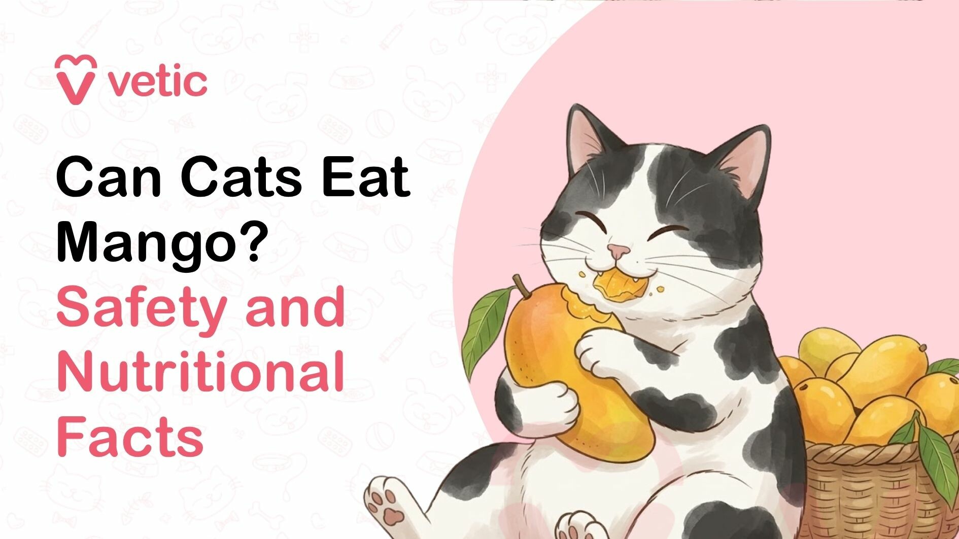A visually appealing and informative graphic designed to answer the common pet care question ‘Can Cats Eat Mango,’ featuring a clean and modern layout suitable for educational content about feline nutrition and safe fruits for cats. The image likely includes branding elements such as a veterinary or pet care logo, reinforcing trust and credibility in the information being presented. The overall design uses soft pastel tones and a minimalistic background, making the content easy to read and visually engaging for pet owners searching for dietary advice for their cats. The main focus of the image is a cute white cat that is actively eating a slice of ripe mango. The cat has soft, fluffy white fur, bright expressive eyes, and a calm yet curious expression that conveys interest in the fruit. The posture of the cat is relaxed and natural, suggesting a safe and controlled feeding scenario. The cat is shown holding or interacting with the mango slice, emphasizing the central question of whether mango is a suitable treat for cats. The mango itself is illustrated in vibrant colors, with bright yellow-orange flesh that appears juicy and fresh. The fruit may be shown sliced into manageable pieces, highlighting how mango is typically prepared before being offered to pets. The visual contrast between the white fur of the cat and the rich color of the mango helps draw attention to the interaction, making the fruit the focal point of the image. This combination effectively communicates the topic of feeding mango to cats and whether it is safe or beneficial. The text in the image likely reads ‘Can Cats Eat Mango?’ or a similar variation, using bold and clear typography to ensure readability. Important keywords such as ‘Cats,’ ‘Mango,’ and ‘Eat’ are emphasized to align with common search queries. The design may also include additional subtext such as ‘Safe or Not,’ ‘Fruits for Cats,’ or ‘Cat Nutrition Guide,’ further enhancing its SEO value and relevance for users looking for pet diet advice. The background of the image is subtle and uncluttered, possibly featuring faint pet-themed illustrations such as paw prints, cat icons, or veterinary symbols. These elements support the overall theme without distracting from the main subject. A soft circular or gradient backdrop behind the cat may be used to highlight the character and create a balanced composition. This image is highly relevant for blog posts, articles, and guides related to cat nutrition, safe human foods for cats, and fruit consumption for pets. It is particularly useful for answering frequently searched questions like ‘Can cats eat mango,’ ‘Is mango safe for cats,’ and ‘What fruits can cats eat.’ The visual of a cat eating mango helps create an emotional connection with viewers, making the content more engaging and shareable across platforms such as blogs, Pinterest, and social media. From an SEO perspective, the image incorporates high-value keywords such as ‘cats eating mango,’ ‘mango for cats,’ ‘safe fruits for cats,’ ‘cat diet tips,’ and ‘pet nutrition guide.’ These keywords are naturally embedded within the context, improving the chances of ranking in search engine results. The image can enhance on-page SEO by increasing user engagement, reducing bounce rates, and supporting the overall content strategy for pet care websites. The tone of the graphic is friendly, educational, and reassuring, aimed at helping pet owners make informed decisions about their cat’s diet. It suggests that while mango may be a tempting fruit, it should be given in moderation and with proper precautions. The combination of a cute and relatable cat illustration with clear messaging makes the content approachable and easy to understand. In summary, this image effectively communicates the topic of whether cats can eat mango through a visually engaging and SEO-friendly design. It combines strong visual elements, clear typography, and relevant keywords to create an informative and appealing graphic. This makes it an excellent asset for pet care blogs, veterinary websites, and educational platforms focused on feline health and nutrition, helping pet owners understand safe feeding practices and make better dietary choices for their cats.