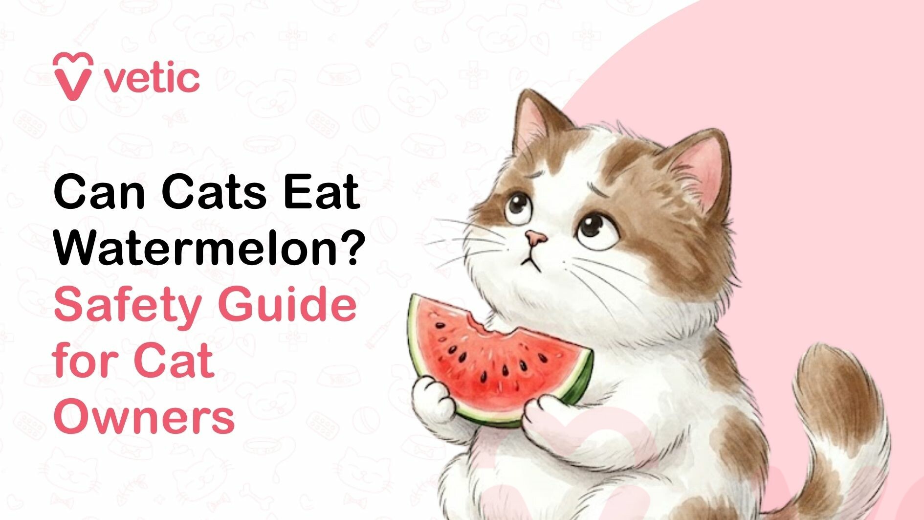 A clean and visually engaging informational graphic designed to educate pet owners about whether cats can eat watermelon, presented as a safety guide for cat owners. The image prominently features the brand name ‘Vetic’ in the top left corner, accompanied by a heart-shaped logo that represents trust, care, and professional veterinary services. This branding element suggests that the content is created by a reliable pet healthcare provider focused on delivering accurate and helpful information related to animal nutrition and well-being. The main headline on the left side of the image reads ‘Can Cats Eat Watermelon? Safety Guide for Cat Owners,’ with a well-structured typographic hierarchy that emphasizes important keywords such as ‘Cats,’ ‘Watermelon,’ and ‘Safety Guide.’ The text uses a combination of bold black and soft pink colors to draw attention to the key message while maintaining readability and visual balance. These keywords are highly relevant for search engine optimization, targeting common queries from pet owners looking for safe foods for cats, fruit consumption guidelines for cats, and dietary safety tips for feline pets. On the right side of the image, there is an adorable illustration of a small, fluffy kitten holding a slice of watermelon. The kitten has soft white fur with light brown patches, large expressive eyes, and a slightly curious and cautious facial expression, which adds emotional depth and relatability to the image. The cat appears to be gently holding the watermelon slice with its front paws, looking at it as if unsure whether it is safe to eat. This subtle expression reinforces the theme of caution and safety, aligning perfectly with the concept of a guide for cat owners. The watermelon slice is depicted in a vibrant and realistic style, featuring bright red flesh, small black seeds, and a green rind. The juicy appearance of the fruit contrasts with the soft pastel tones of the background, making it the focal point of the illustration. The inclusion of the watermelon visually represents the topic of the graphic, which revolves around feeding fruits to cats and understanding whether watermelon is safe or beneficial for feline consumption. The background of the image is light and minimalistic, with faint pet-themed doodles such as cats, dogs, paw prints, bones, and veterinary icons scattered across the canvas. These elements are subtle and do not distract from the main content but help reinforce the overall theme of pet care and animal health. A soft pink circular backdrop behind the kitten further enhances the visual composition by highlighting the subject and creating a warm, friendly aesthetic. This image is highly suitable for blog posts, articles, and online guides focused on cat nutrition, pet safety, and responsible feeding practices. It is particularly useful for content that answers questions such as ‘Can cats eat watermelon,’ ‘Is watermelon safe for cats,’ and ‘What fruits can cats eat safely.’ The visual storytelling approach, combined with clear and informative text, makes it effective for engaging pet owners and encouraging them to learn more about proper dietary choices for their cats. From an SEO perspective, the image is optimized with relevant keywords including ‘cats eating watermelon,’ ‘watermelon for cats,’ ‘cat safety guide,’ ‘safe fruits for cats,’ and ‘pet nutrition tips.’ These keywords are naturally integrated into the design and description, improving the likelihood of ranking in search engine results for related queries. The image can help enhance on-page SEO performance by increasing user engagement, improving dwell time, and making the content more visually appealing. The overall tone of the graphic is educational, gentle, and reassuring, which is important when addressing concerns related to pet health and safety. It conveys the idea that while watermelon may be a tempting treat, cat owners should be informed about proper feeding practices and potential risks. The combination of a cute and expressive kitten illustration with a clear safety-focused message creates a strong emotional connection with viewers, making the content more memorable and shareable. In summary, this image effectively communicates the concept of evaluating whether watermelon is safe for cats, using a balanced combination of engaging visuals, clear messaging, and SEO-friendly design. It serves as a valuable resource for pet owners, veterinarians, and pet care platforms looking to provide accurate information about feline nutrition and safe dietary choices. The branding, typography, and illustration work together seamlessly to create a compelling and informative graphic that is well-suited for digital marketing, educational content, and search engine optimization in the pet care niche.