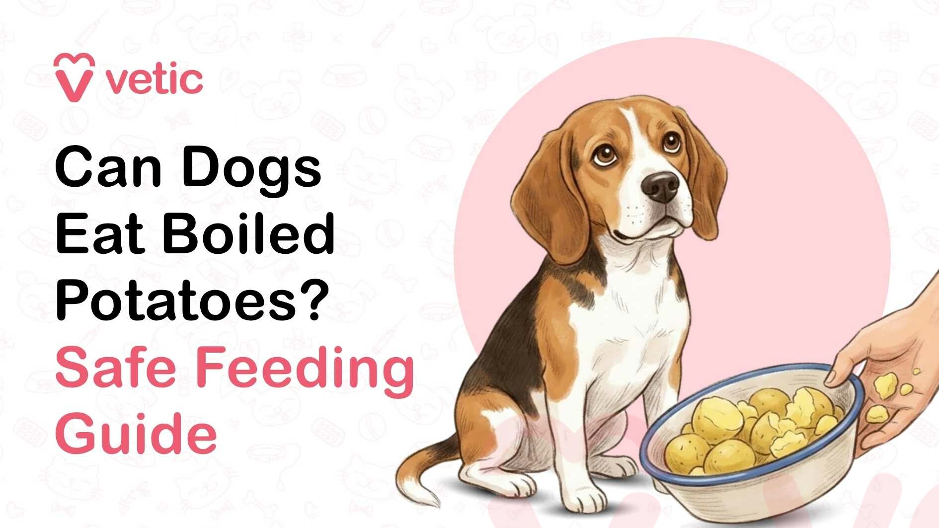 A partially corrupted or glitched promotional graphic for a pet care brand, where multiple visual elements appear distorted, overlapped, and misaligned. The background retains a faint, soft beige tone with subtle pet-themed line illustrations, consistent with a clean, pastel design style. On the left side, partially visible bold black text reads “Can Dogs,” suggesting the beginning of a question-based headline, though the rest of the sentence is obscured or cut off due to the distortion. Fragments of a cartoon dog illustration are visible on the right side, including part of a brown-and-white dog’s face with expressive eyes, but the image is fragmented and not fully coherent. The central and upper portions of the image are heavily disrupted by glitch-like vertical tearing and overlapping layers, revealing what appears to be a distorted photograph of a shirtless human torso and gym-like equipment, possibly metal bars or machinery, though the details are unclear due to visual corruption. The human figure appears partially inverted or mirrored, with facial features and hair visible in a warped, upside-down orientation. The image layers seem to be incorrectly composited, creating a surreal and confusing mix of unrelated elements. In the lower section, there is a dark brown textured area resembling soil, mud, or cooked food, though its exact nature is unclear due to the distortion. Additional fragments of the cartoon dog’s paws and body are faintly visible near the bottom right corner, but they are cut off and blended into the corrupted layers. Overall, the image appears to be a broken or improperly rendered graphic combining a pet-themed illustration with unintended photographic elements, resulting in a chaotic, visually inconsistent composition that obscures the intended message about dog nutrition.