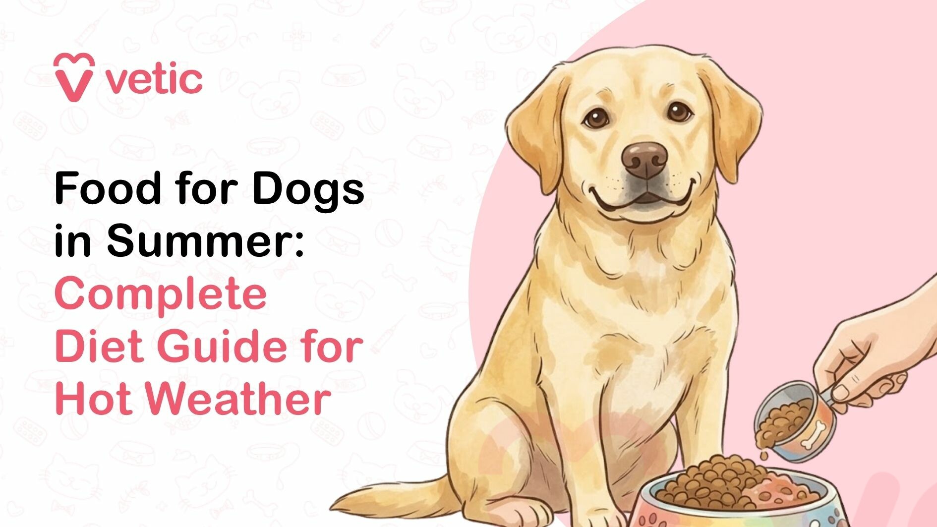 Wide-format veterinary and pet care educational banner created by Vetic focusing on summer nutrition for dogs, designed with a clean, modern, and visually appealing layout. The background is a soft off-white tone with faint, repeating line-art illustrations of pet-related and veterinary-themed icons such as paw prints, bones, collars, food bowls, grooming tools, and medical symbols, creating a subtle and cohesive animal care theme without distracting from the main content. In the top left corner, the Vetic brand logo is prominently displayed, consisting of a stylized heart-shaped “V” icon in soft pink followed by the lowercase word “vetic” in a matching pink sans-serif font, reinforcing brand identity. Below the logo, bold, left-aligned headline text in a large, clean sans-serif font reads “Food for Dogs in Summer:” in solid black, clearly introducing the topic. Beneath it, a secondary line in soft pink reads “Complete Diet Guide for Hot Weather,” emphasizing the educational purpose of the graphic and highlighting key search-friendly phrases related to dog nutrition, summer diet, and heat management. The contrast between black and pink text creates a clear visual hierarchy and improves readability. On the right side of the composition, there is a detailed, realistic illustration of a medium-to-large-sized dog, resembling a Labrador Retriever, sitting upright in a relaxed and friendly posture. The dog has a short, smooth coat in a light golden or yellow shade, with subtle shading that adds depth and realism. Its ears are medium-sized and gently folded, and its eyes are soft and expressive, giving a calm, happy, and approachable appearance. The dog’s mouth is slightly curved into a relaxed, content expression, suggesting comfort and well-being. In front of the dog, near the lower right corner, a feeding scene is illustrated. A human hand is shown holding a small container or scoop filled with dry dog kibble, pouring it into a round pet food bowl placed on the ground. The kibble pieces are small, round, and brown, and some are mid-air as they fall into the bowl, adding a sense of motion. The bowl itself is light-colored with a subtle decorative design, indicating a typical household pet feeding setup. Behind the dog, a large soft pink circular background element frames the illustration, drawing attention to the subject and balancing the composition with the text on the left. The overall layout is structured to guide the viewer’s eye from the headline to the feeding scene, making the message easy to understand at a glance. The color palette primarily includes white, black, soft pink, warm golden tones, and neutral shades, creating a clean, professional, and approachable aesthetic. This image is intended to educate pet owners about proper nutrition for dogs during hot weather, emphasizing the importance of a balanced diet, hydration, portion control, and appropriate food choices to keep dogs healthy and comfortable in summer conditions. It suggests awareness around feeding practices that support digestion, energy levels, and overall well-being during high temperatures, encouraging responsible pet care and seasonal diet adjustments.