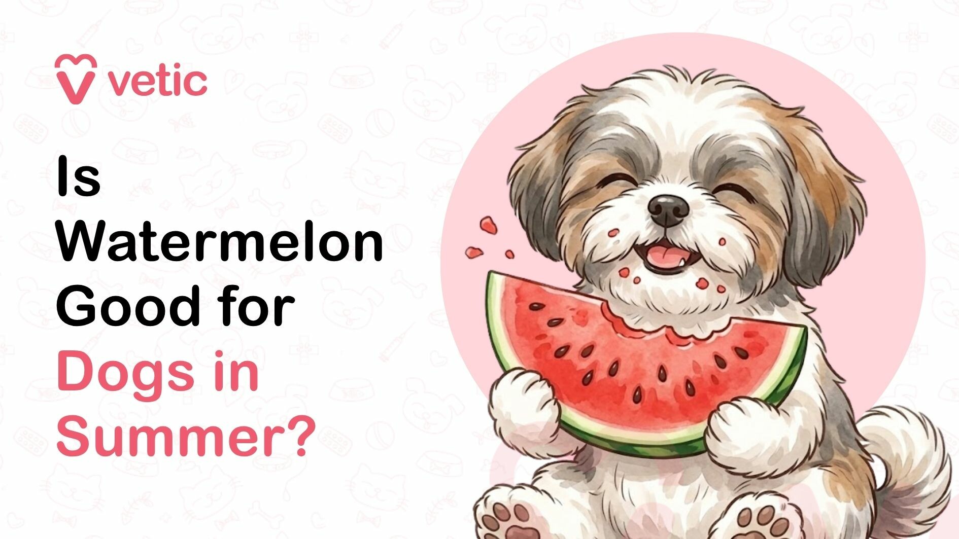 A visually appealing and professionally designed graphic that explores the topic of whether watermelon is good for dogs in summer, presented in a friendly and engaging style suitable for pet owners and animal lovers. The image prominently features the brand name ‘Vetic’ in the top left corner, accompanied by a heart-shaped logo that symbolizes care, compassion, and veterinary expertise. This branding element suggests that the content is created by a trusted pet healthcare provider or veterinary service platform focused on educating pet parents. The central text on the left side of the image reads ‘Is Watermelon Good for Dogs in Summer?’ with a clear typographic hierarchy that emphasizes key terms such as ‘Watermelon,’ ‘Dogs,’ and ‘Summer.’ The use of bold black and soft pink colors helps highlight the main question, making it highly readable and visually attractive. These keywords are strategically included to align with common search queries from pet owners looking for safe fruits for dogs, summer pet care tips, and healthy snack options for dogs during hot weather. On the right side of the image, there is a charming and adorable illustration of a small fluffy dog that appears to resemble a Shih Tzu or similar toy breed. The dog has soft white and brown fur, round expressive eyes, and a joyful facial expression that conveys happiness and satisfaction. The dog is shown holding a large slice of fresh watermelon with both paws, actively eating it with visible excitement. Small watermelon juice droplets and seeds are illustrated around its mouth, enhancing the sense of enjoyment and making the image lively and relatable. The watermelon slice is depicted with vibrant red flesh, black seeds, and a green rind, clearly representing a fresh and juicy fruit commonly consumed during summer. The bright colors of the watermelon contrast beautifully with the soft pastel background, drawing attention to the fruit and reinforcing the theme of hydration and cooling foods for pets. The illustration effectively communicates the idea of watermelon as a refreshing treat for dogs, especially during hot weather conditions. The background of the image features subtle, light grey pet-themed doodles, including icons of cats, dogs, paw prints, bones, and veterinary symbols. These elements are intentionally faded to maintain focus on the main subject while still reinforcing the overall theme of pet care and animal health. A soft pink circular backdrop behind the dog further highlights the character, creating a balanced and aesthetically pleasing composition. This image is highly relevant for content related to dog nutrition, pet diet safety, and seasonal care tips for dogs. It is particularly useful for blog posts, articles, and guides that answer common questions such as whether dogs can eat watermelon, the benefits of watermelon for dogs, and precautions to take when feeding fruits to pets. The visual representation of a happy dog enjoying watermelon helps build a positive emotional connection with viewers, making the content more engaging and shareable. From an SEO perspective, this image effectively incorporates high-value keywords such as ‘watermelon for dogs,’ ‘dogs in summer,’ ‘safe fruits for dogs,’ ‘dog hydration foods,’ and ‘pet care tips.’ These keywords are naturally embedded within the text and visual context, improving the chances of ranking in search engine results for relevant queries. The image can be used to enhance on-page SEO, increase user engagement, and reduce bounce rates by providing visually informative and appealing content. The overall tone of the graphic is friendly, educational, and reassuring, making it ideal for pet owners who are concerned about their dog’s health and diet. It conveys a message of safe and healthy feeding practices while also highlighting the importance of hydration and nutrition during the summer season. The combination of clean design, clear messaging, and engaging illustration makes this image an effective tool for digital marketing, social media sharing, and educational content in the pet care niche. In summary, the image successfully communicates the concept of feeding watermelon to dogs as a potential summer treat, using a visually engaging and SEO-friendly approach. It combines strong branding, clear typography, and an adorable illustration to create a compelling piece of content that appeals to pet owners, veterinary professionals, and animal care enthusiasts alike. This makes it a valuable asset for websites and platforms focused on pet health, dog nutrition, and seasonal pet care advice.