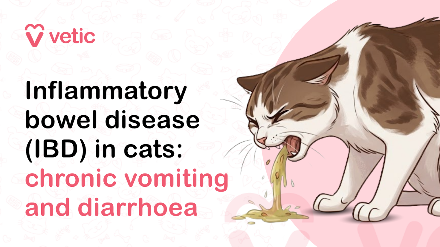 Veterinary educational banner for Vetic about inflammatory bowel disease (IBD) in cats featuring the title “Inflammatory Bowel Disease (IBD) in Cats: Chronic Vomiting and Diarrhoea.” The design uses a clean pastel veterinary infographic style with a soft off-white background decorated with faint pet-themed doodles including paw prints, pet bowls, fish bones, collars, hearts, and veterinary medical icons. The Vetic logo appears prominently in the upper-left corner in pink with a heart-shaped “V” icon and modern lowercase typography, maintaining a consistent pet healthcare branding style. On the left side, bold black and soft pink headline text reads “Inflammatory Bowel Disease (IBD) in Cats: Chronic Vomiting and Diarrhoea,” with the phrase “chronic vomiting and diarrhoea” highlighted in pink for emphasis and readability. The typography is large, modern, and optimized for veterinary educational content, feline digestive health blogs, social media awareness graphics, pet care articles, and SEO-focused veterinary healthcare resources. On the right side of the banner is a realistic vector-style illustration of a distressed brown-and-white domestic cat actively vomiting yellowish fluid onto the floor, visually representing common symptoms associated with feline inflammatory bowel disease. The cat’s posture, squinted eyes, lowered head, and tense body language convey nausea, gastrointestinal discomfort, and digestive illness while remaining non-graphic and educational in tone. The vomiting illustration is stylized for awareness and veterinary education rather than shock value, making it appropriate for pet owner informational content and veterinary clinic resources. Behind the cat is a large pastel pink circular background element that balances the composition and aligns with the signature Vetic veterinary branding aesthetic. The illustration uses smooth vector artwork, soft shading, rounded outlines, and gentle pastel colors to create a medically informative yet approachable visual suitable for cat owners seeking digestive health information. The image supports educational content about inflammatory bowel disease in cats, feline IBD symptoms, chronic vomiting in cats, diarrhoea in cats, feline gastrointestinal disorders, digestive inflammation, chronic digestive illness in cats, feline gut health, food intolerance in cats, cat stomach problems, inflammatory digestive disease, feline digestive tract disorders, veterinary diagnosis for vomiting cats, treatment for cat diarrhoea, and chronic gastrointestinal symptoms in pets. Suitable for veterinary clinic blogs, cat health awareness articles, educational infographics, emergency digestive symptom guides, YouTube thumbnails, social media pet health campaigns, and SEO-focused veterinary content related to feline digestive diseases and gastrointestinal care.