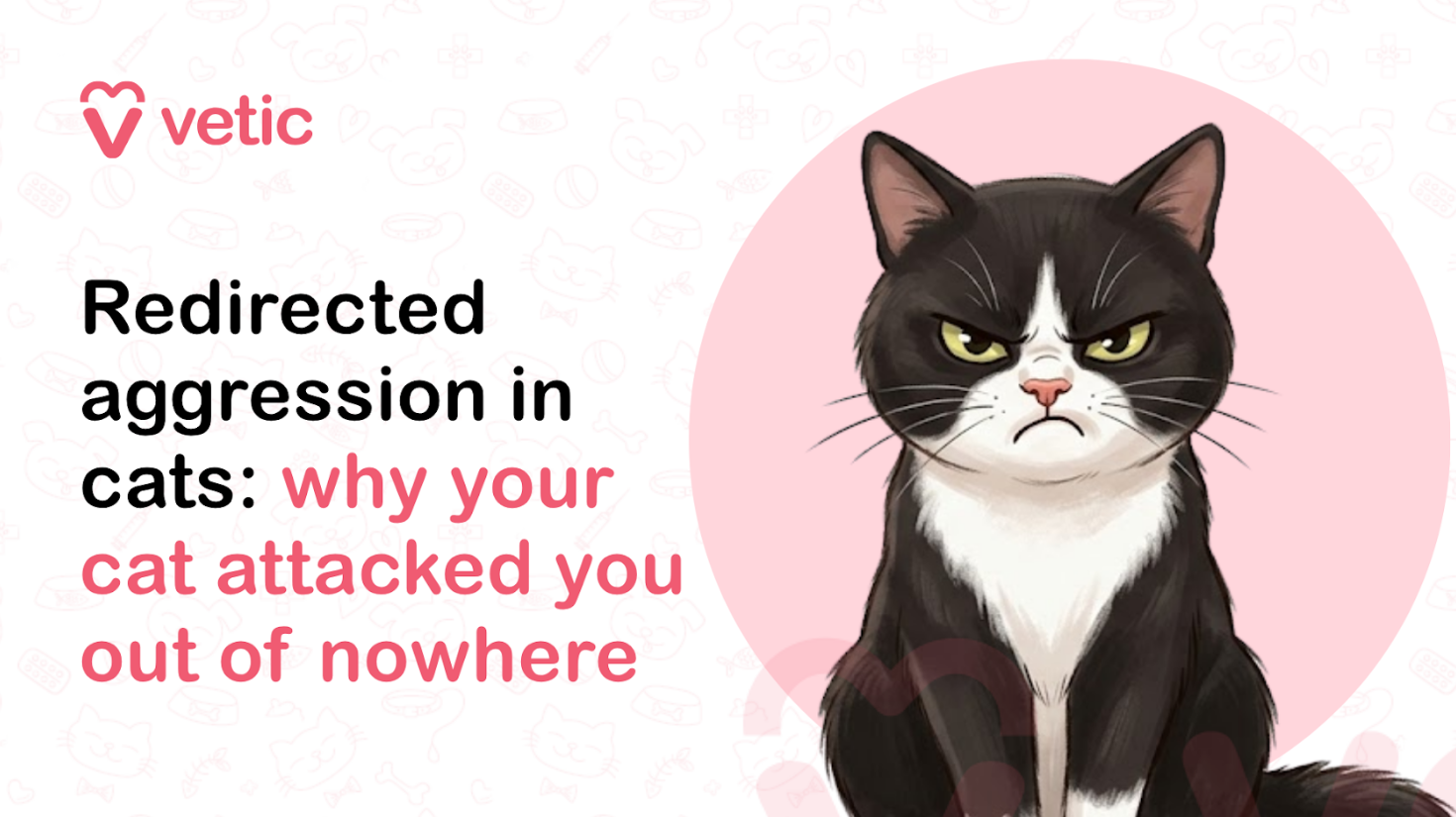 Veterinary educational banner for Vetic about redirected aggression in cats featuring the title “Redirected aggression in cats: why your cat attacked you out of nowhere.” The design uses a clean pastel veterinary infographic style with a soft off-white background decorated with faint pet-themed doodles including paw prints, fish bones, collars, hearts, pet toys, and veterinary medical icons. The Vetic logo appears in the upper-left corner in pink with a heart-shaped “V” icon and modern lowercase typography. On the left side, bold black and soft pink headline text reads “Redirected aggression in cats: why your cat attacked you out of nowhere,” with key behavioral phrases highlighted in pink for emphasis and readability. The typography is large, modern, and optimized for veterinary educational content, feline behavior blogs, pet parenting awareness posts, and cat aggression management articles. On the right side of the banner is a realistic vector-style illustration of an angry black-and-white tuxedo cat with narrowed yellow eyes, flattened facial expression, tense posture, and an irritated stare to visually represent feline redirected aggression behavior. The cat appears alert, frustrated, and defensive, symbolizing sudden aggressive reactions that may occur when a cat becomes overstimulated or stressed by another animal, loud noise, unfamiliar scent, or environmental trigger. The expression is intentionally intense yet non-graphic and educational in tone, helping pet owners recognize behavioral warning signs in cats. Behind the cat is a large pastel pink circular background element that balances the composition and maintains consistency with the Vetic veterinary branding style. The overall artwork uses smooth vector illustration, soft shading, rounded outlines, and gentle colors to create an informative but approachable visual suitable for cat owners seeking behavioral guidance and veterinary education. The image supports educational content about redirected aggression in cats, sudden cat aggression, feline behavioral problems, stressed cat behavior, aggressive cat body language, why cats suddenly attack owners, cat anxiety triggers, feline stress responses, territorial aggression in cats, overstimulation aggression, pet behavior management, veterinary behavioral advice, and safe ways to calm an aggressive cat. Suitable for veterinary clinic blogs, pet care resources, educational infographics, YouTube thumbnails, social media awareness posts, and SEO-focused pet health and feline behavior content.