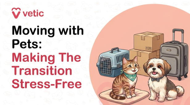 Veterinary educational banner for Vetic about moving with pets featuring the title “Moving with Pets: Making The Transition Stress-Free.” The design uses a clean pastel veterinary infographic style with a soft off-white background decorated with faint pet-themed doodles including paw prints, fish bones, collars, hearts, pet toys, and veterinary-themed icons. The Vetic logo appears in the upper-left corner in pink with a heart-shaped “V” icon and modern lowercase typography. On the left side, bold black and soft pink headline text reads “Moving with Pets: Making The Transition Stress-Free,” with important phrases highlighted in pink for emphasis and readability. The typography is large, modern, and optimized for veterinary educational content, pet lifestyle blogs, relocation guides for pet owners, and pet anxiety awareness articles. On the right side of the banner is a realistic vector-style illustration of a happy orange tabby cat and a small fluffy dog sitting together beside moving supplies including stacked cardboard boxes, a rolling suitcase, and a blue pet carrier. The pets appear calm, friendly, and comfortable, visually representing a smooth and stress-free relocation experience for animals. The travel-related objects symbolize moving homes, pet travel preparation, and adjusting pets to a new environment. The illustration maintains a warm, approachable, and family-friendly tone suitable for educational pet care content. Behind the pets and moving items is a large pastel peach-pink circular background element that balances the composition and maintains consistency with the Vetic veterinary branding style. The overall artwork uses smooth vector illustration, soft shading, rounded outlines, and gentle colors to create an informative but comforting visual suitable for pet owners planning a move with dogs or cats. The image supports educational content about moving with pets, stress-free pet relocation, preparing pets for a move, helping cats adjust to a new home, reducing dog anxiety during relocation, pet travel preparation, pet moving checklist, relocating with cats and dogs, pet-friendly moving tips, introducing pets to a new environment, calming anxious pets during travel, and veterinary advice for moving households with animals. Suitable for veterinary clinic blogs, pet care resources, educational infographics, YouTube thumbnails, social media awareness posts, and SEO-focused pet lifestyle and relocation content.