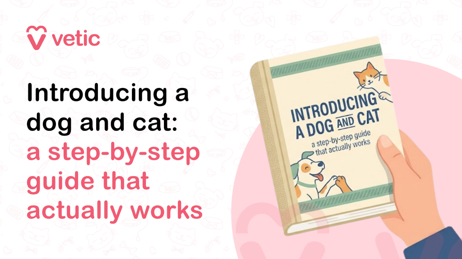 Veterinary educational banner for Vetic about introducing a dog and cat featuring the title “Introducing a dog and cat: a step-by-step guide that actually works.” The design uses a clean pastel veterinary infographic style with a soft off-white background decorated with faint pet-themed doodles including paw prints, fish bones, collars, hearts, pet toys, and veterinary-themed icons. The Vetic logo appears in the upper-left corner in pink with a heart-shaped “V” icon and modern lowercase typography. On the left side, bold black and soft pink headline text reads “Introducing a dog and cat: a step-by-step guide that actually works,” with key phrases highlighted in pink for emphasis and readability. The typography is large, modern, and optimized for veterinary educational content, pet behavior blogs, multi-pet household guides, and pet socialization awareness articles. On the right side of the banner is a realistic vector-style illustration of a hand holding a pet care guidebook titled “Introducing a Dog and Cat,” featuring playful dog and cat graphics on the cover. The book visually represents pet introduction techniques, training guidance, and safe relationship-building between cats and dogs. The illustration maintains a warm, approachable, and family-friendly tone suitable for educational pet care content. Behind the guidebook is a large pastel peach-pink circular background element that balances the composition and maintains consistency with the Vetic veterinary branding style. The overall artwork uses smooth vector illustration, soft shading, rounded outlines, and gentle colors to create an informative yet comforting visual suitable for pet owners introducing a new cat or dog into their home. The image supports educational content about introducing dogs and cats, helping pets live together peacefully, dog and cat socialization, reducing pet aggression, multi-pet household training, first meetings between pets, pet behavior management, calming anxious pets, introducing a puppy to a cat, introducing a kitten to a dog, pet compatibility guidance, and veterinary advice for successful pet introductions. Suitable for veterinary clinic blogs, pet care resources, educational infographics, YouTube thumbnails, social media awareness posts, and SEO-focused pet lifestyle and behavior content.